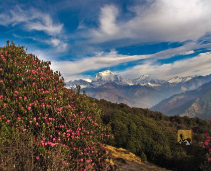 Annapurna Uphill Trekking